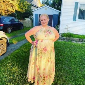 Beautiful Circle Dress Plus Size worn once!